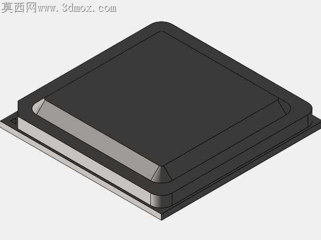 覆盆子皮4 B型