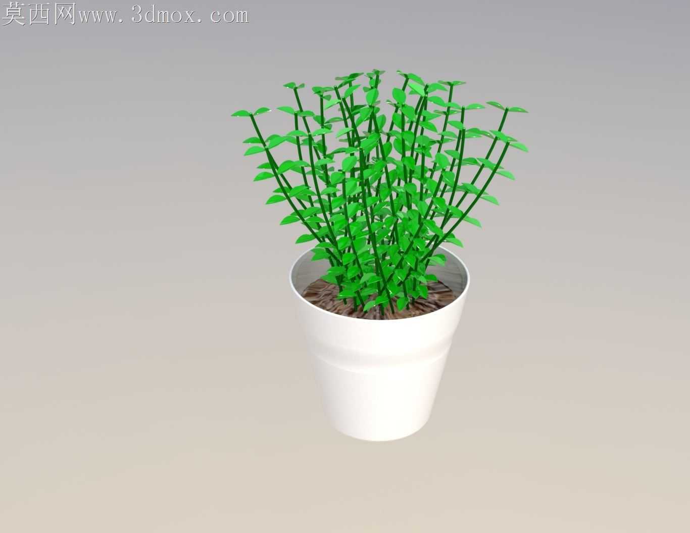 ֲ��