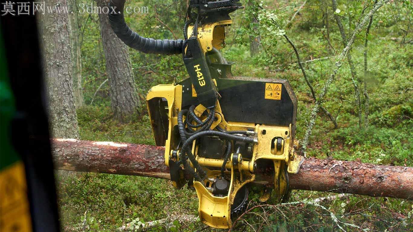 ɭ���ջ��