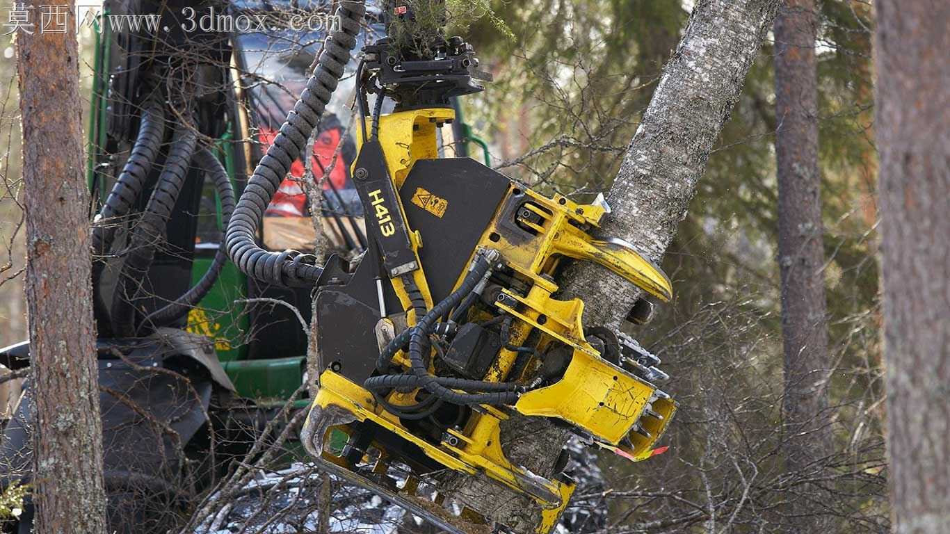 ɭ���ջ��