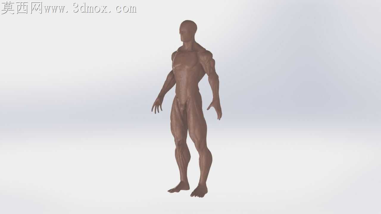 ���ⷢ�������