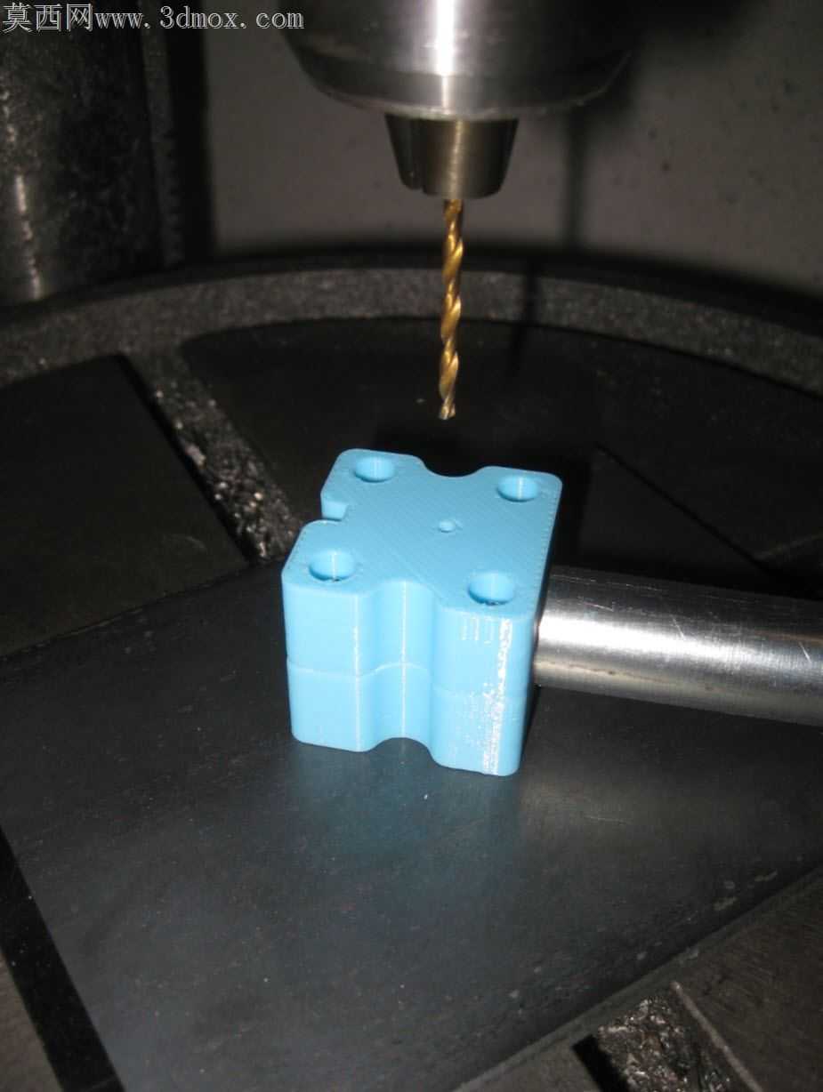 3D��ӡֲ��Ƽ�