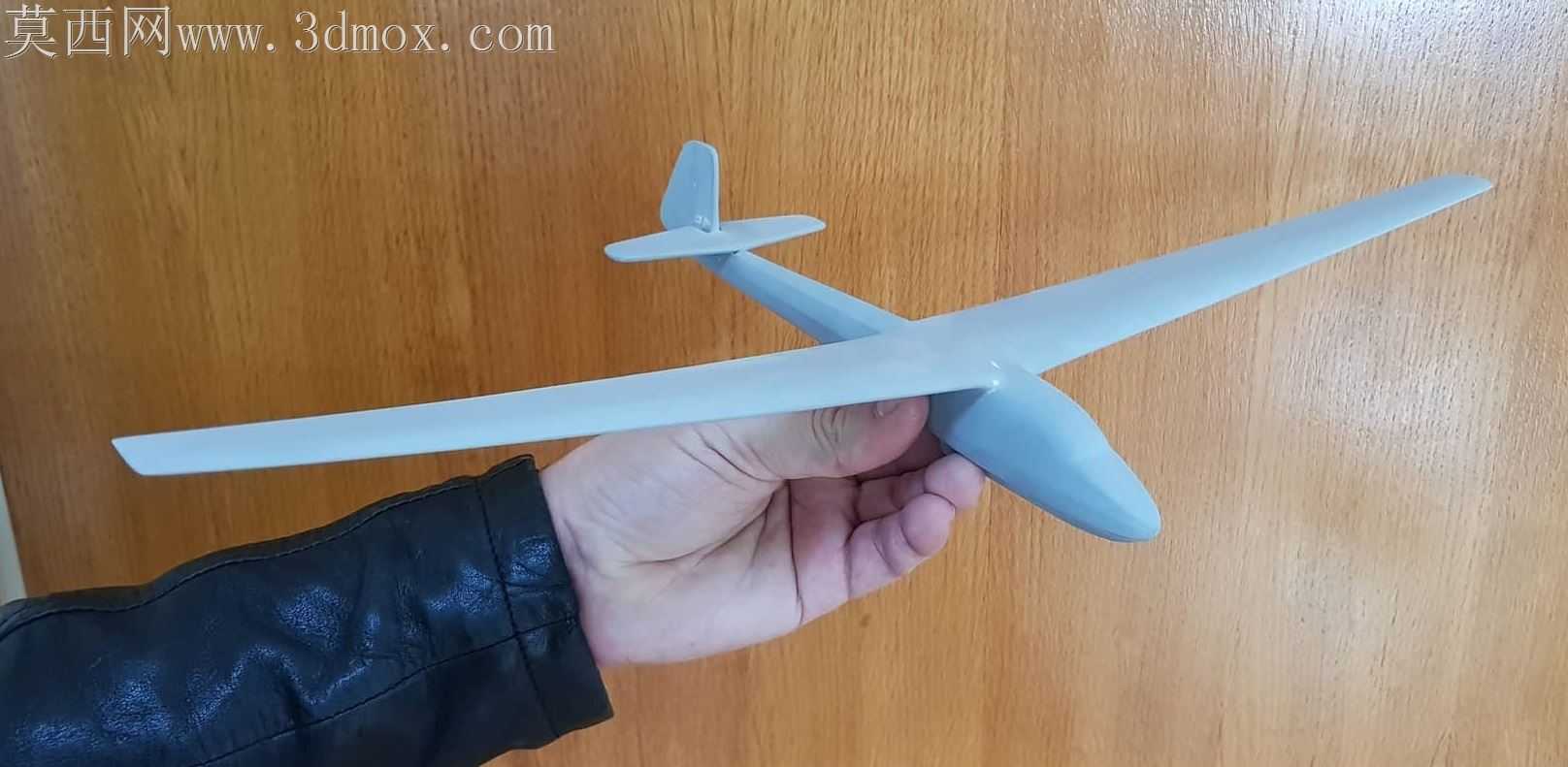 3D打印和喷漆Schleicher K7滑翔机