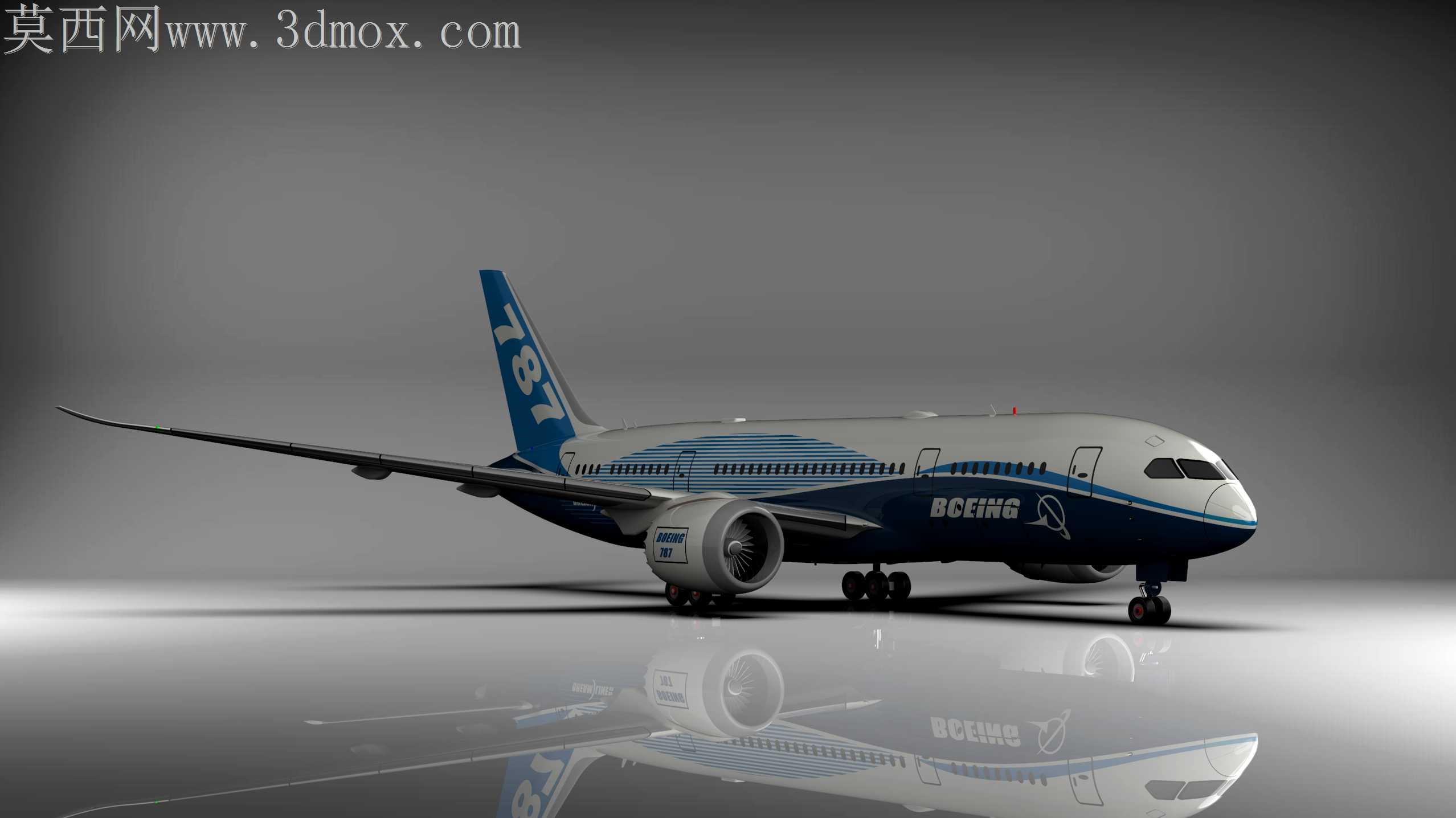 ����787����ɻ�