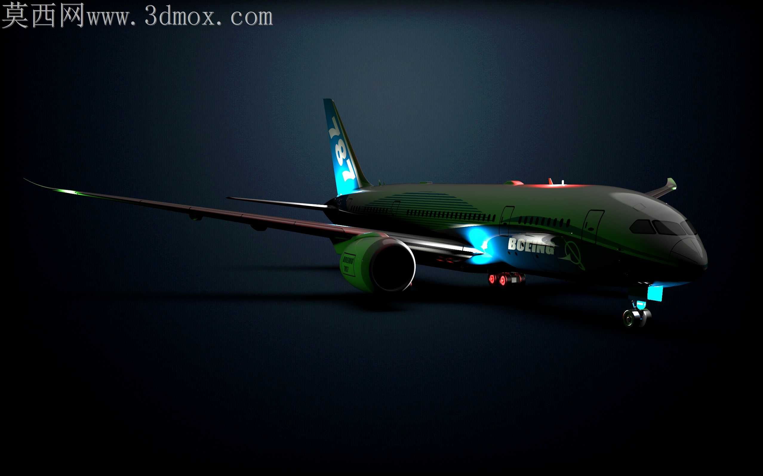 ����787����ɻ�