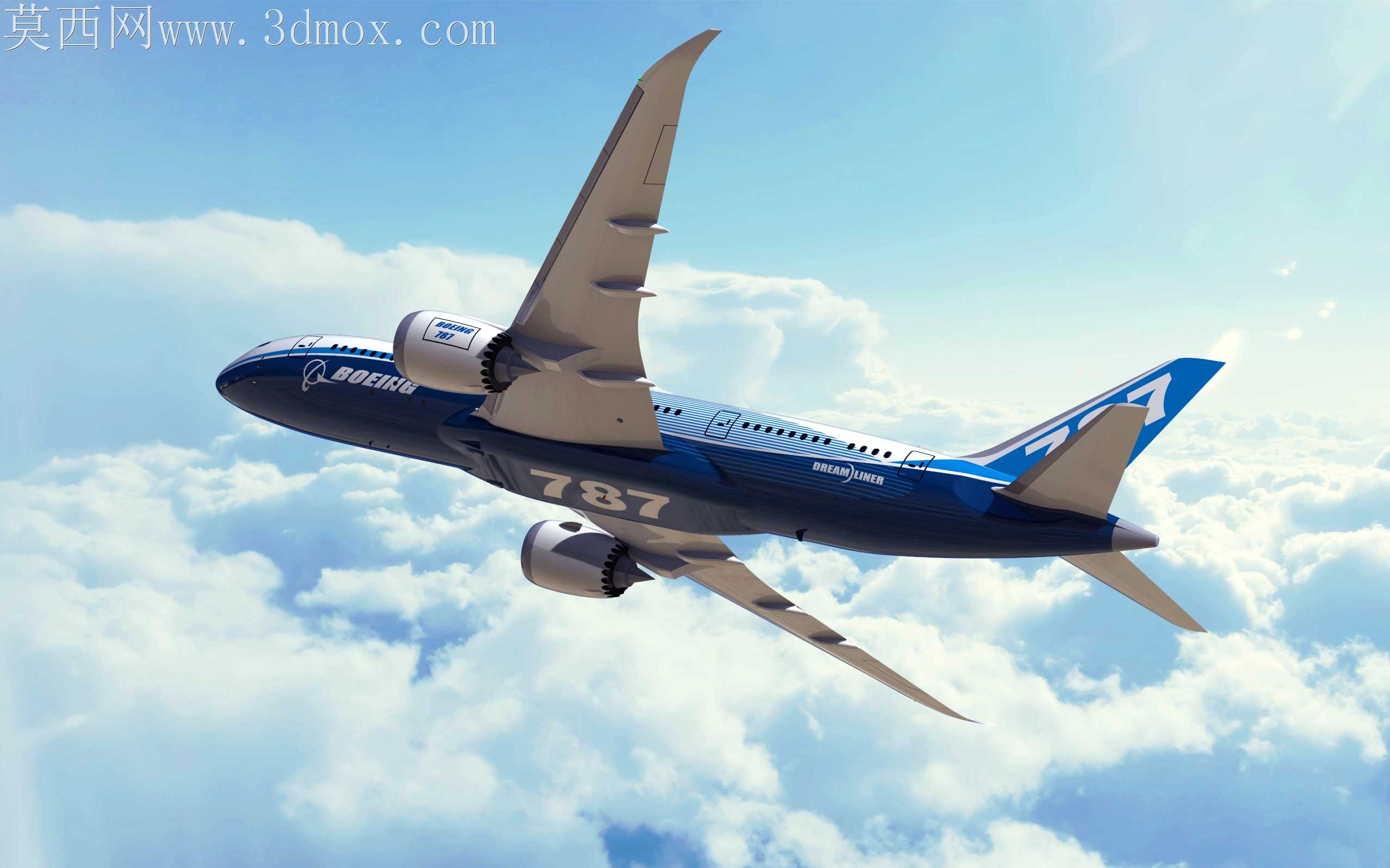 ����787����ɻ�