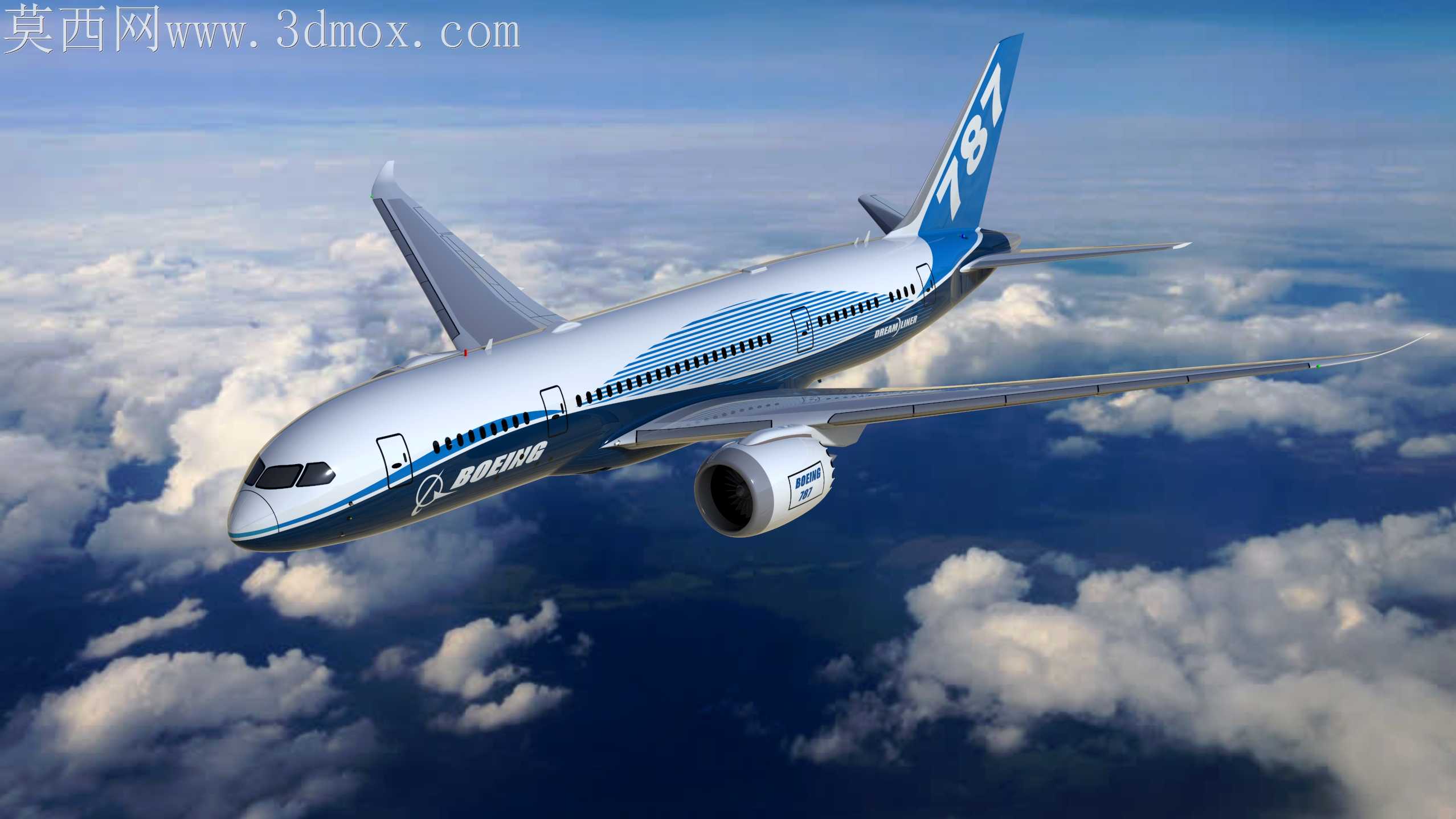 ����787����ɻ�