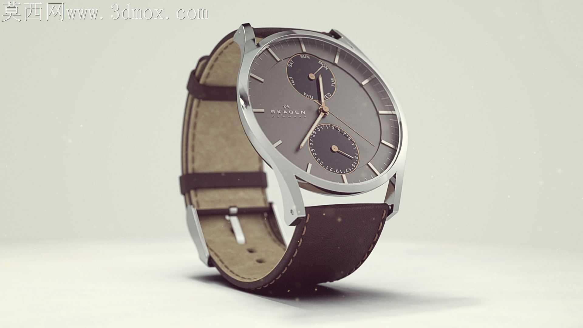 SKAGEN-腕表