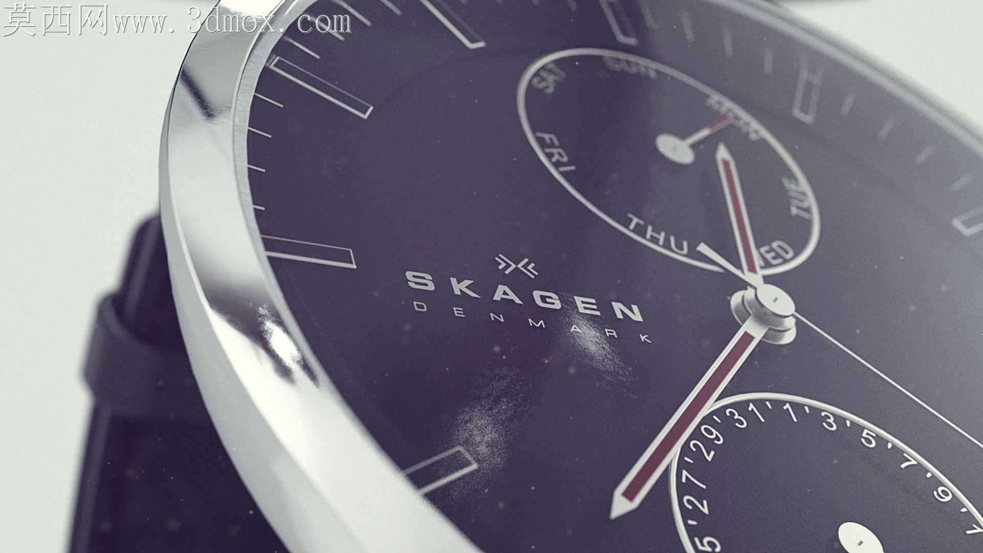 SKAGEN-腕表