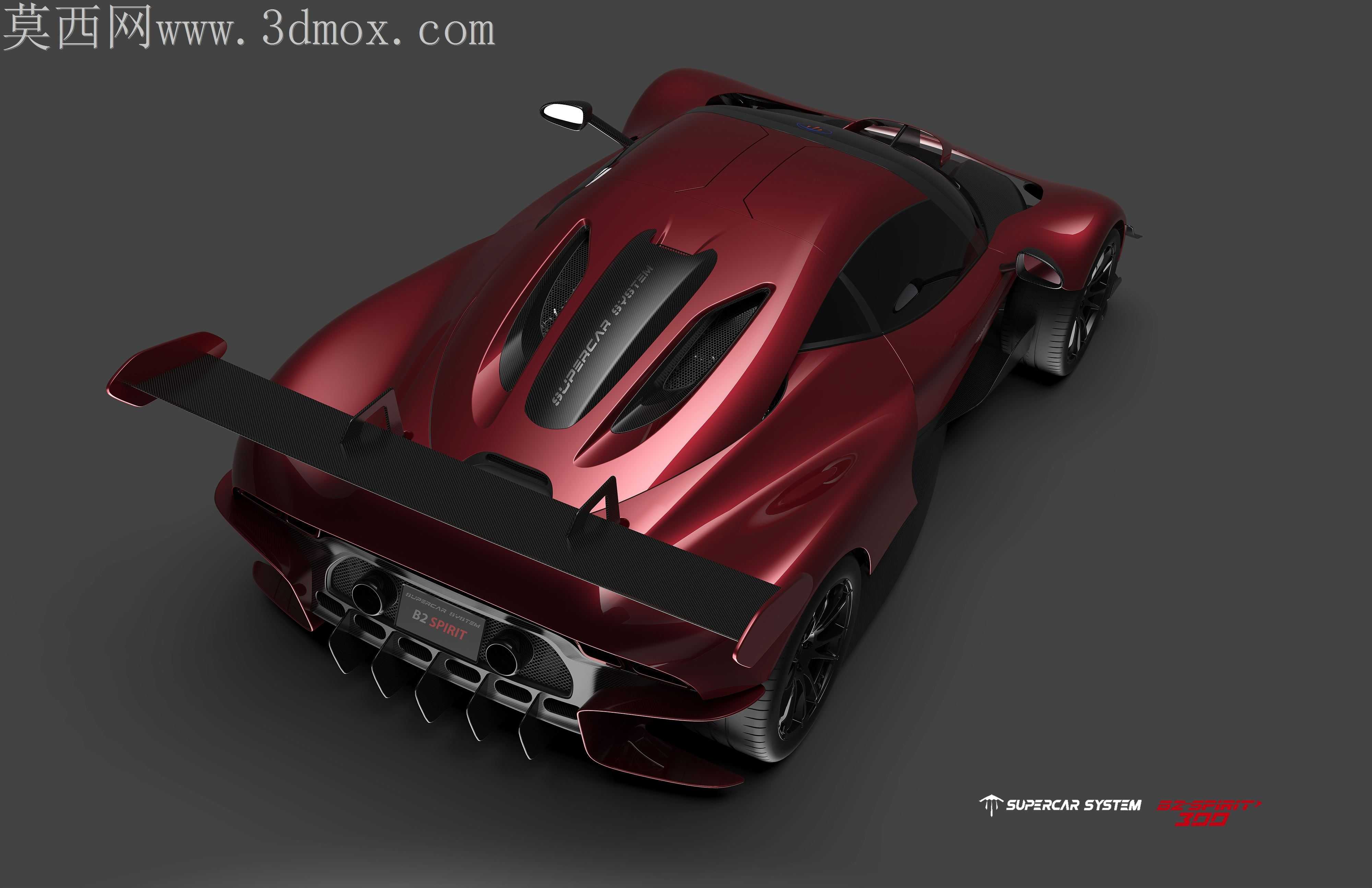 �����ܳ�ϵͳB2 SPIRIT 300 B2