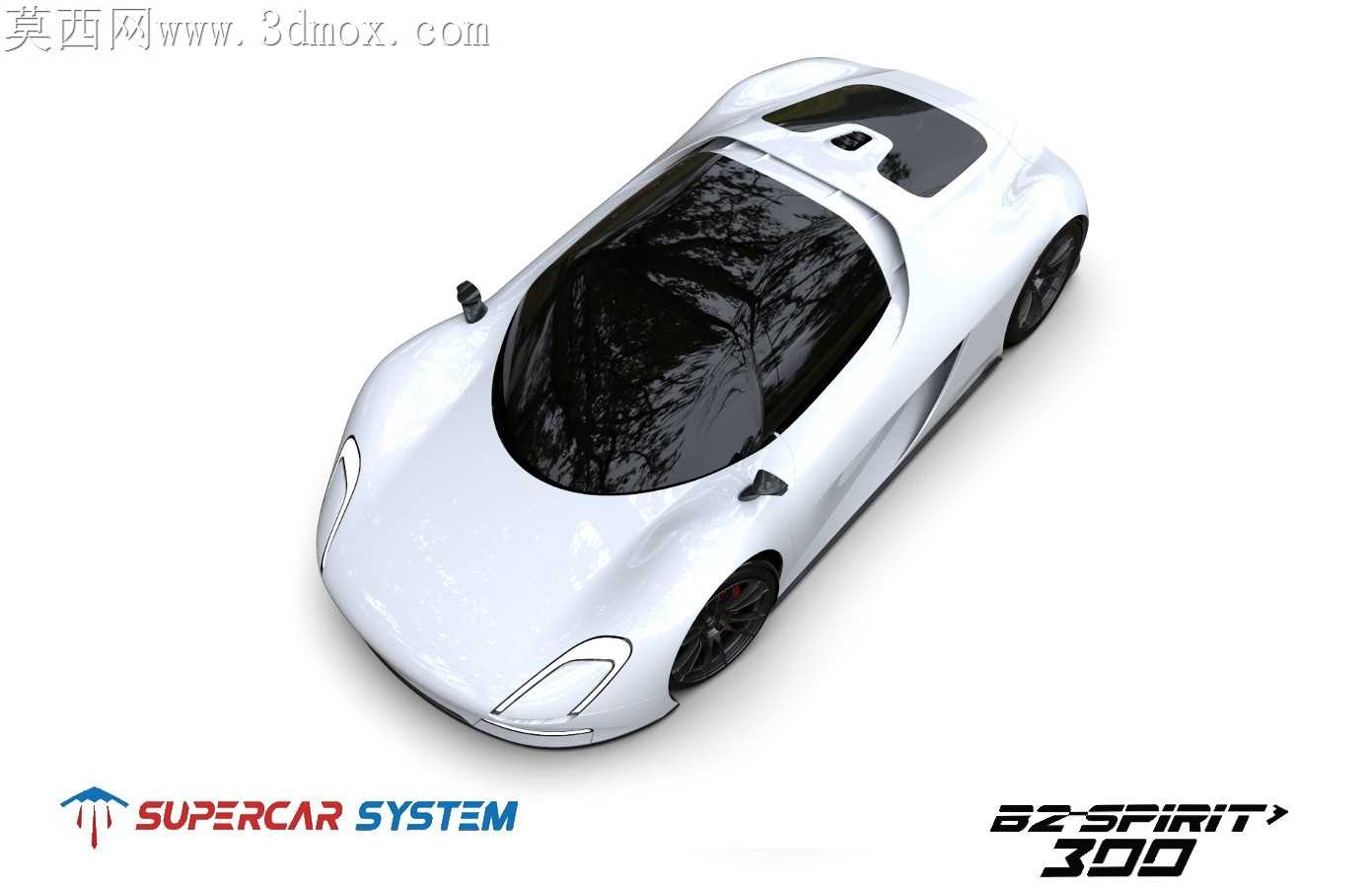 �������ܳ�ϵͳ��SPIRIT 300��������