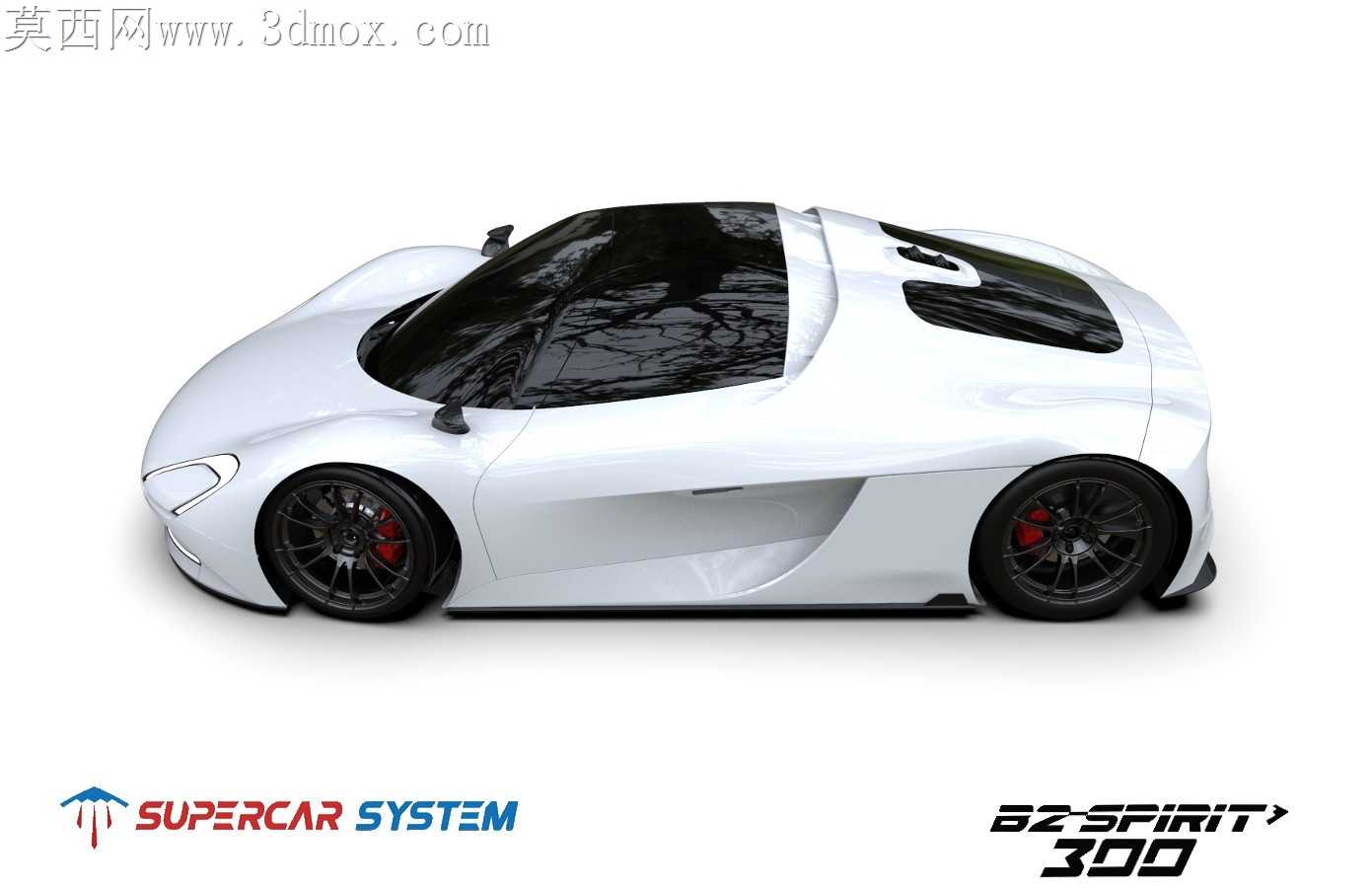 �������ܳ�ϵͳ��SPIRIT 300��������
