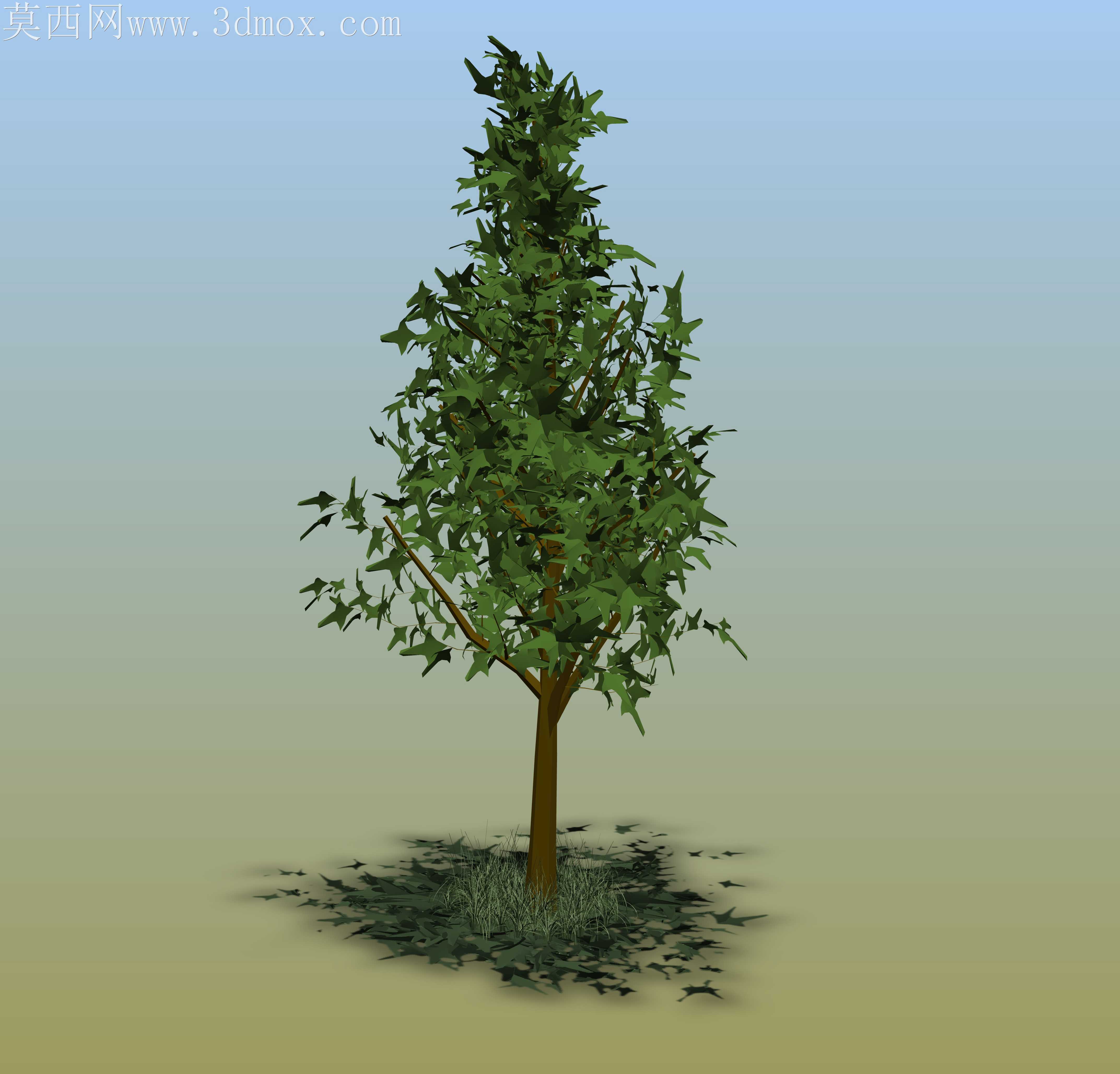 003������������HD