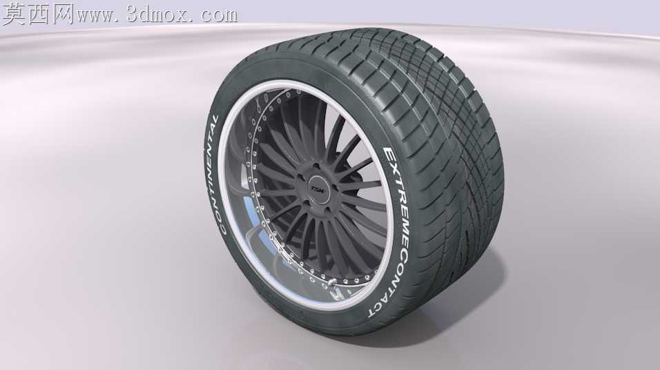 更新!!!TSW车轮w.Conti ExtremeContact DWS轮胎下部