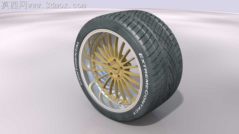 更新!!!TSW车轮w.Conti ExtremeContact DWS轮胎下部