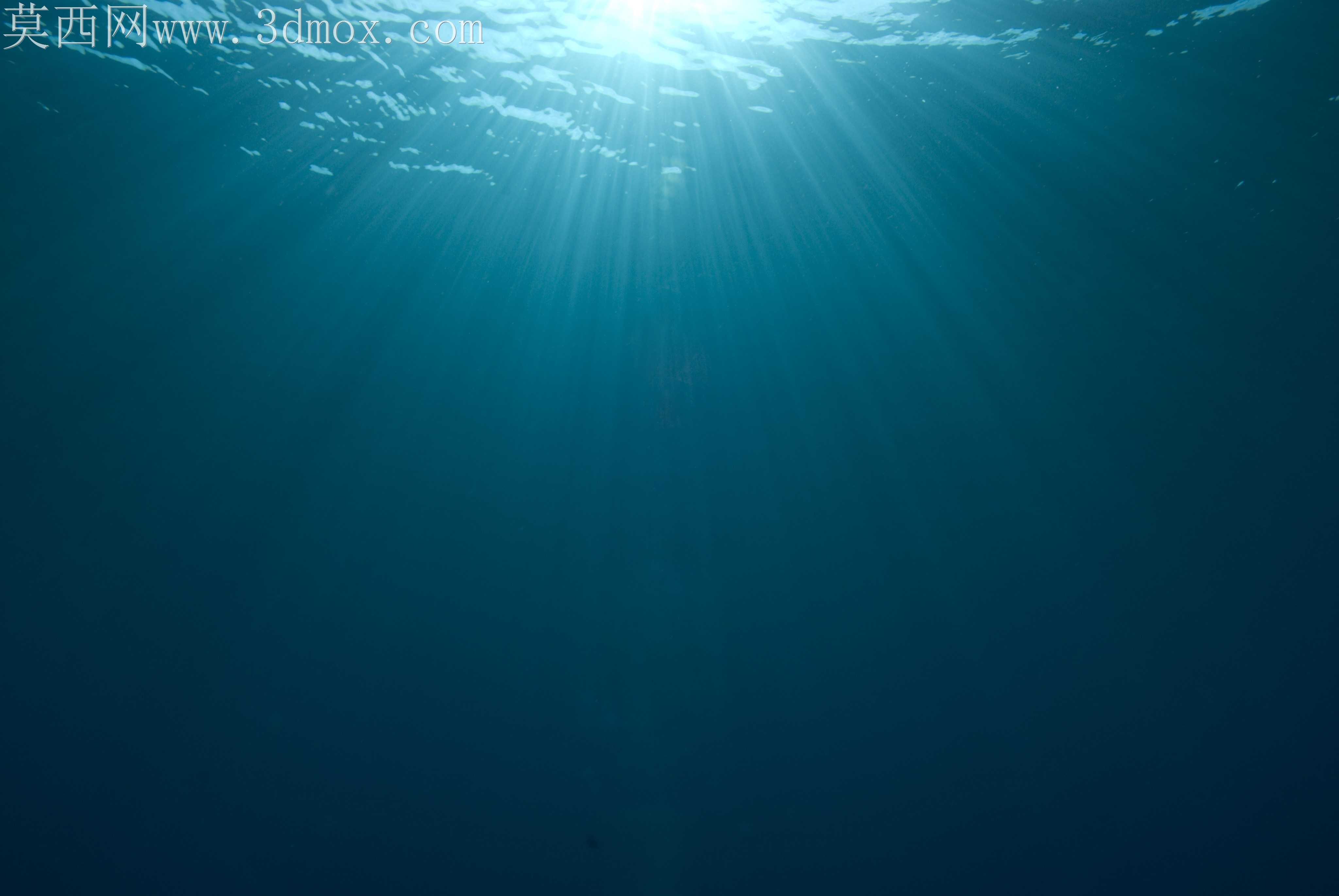 ��ʺ�2