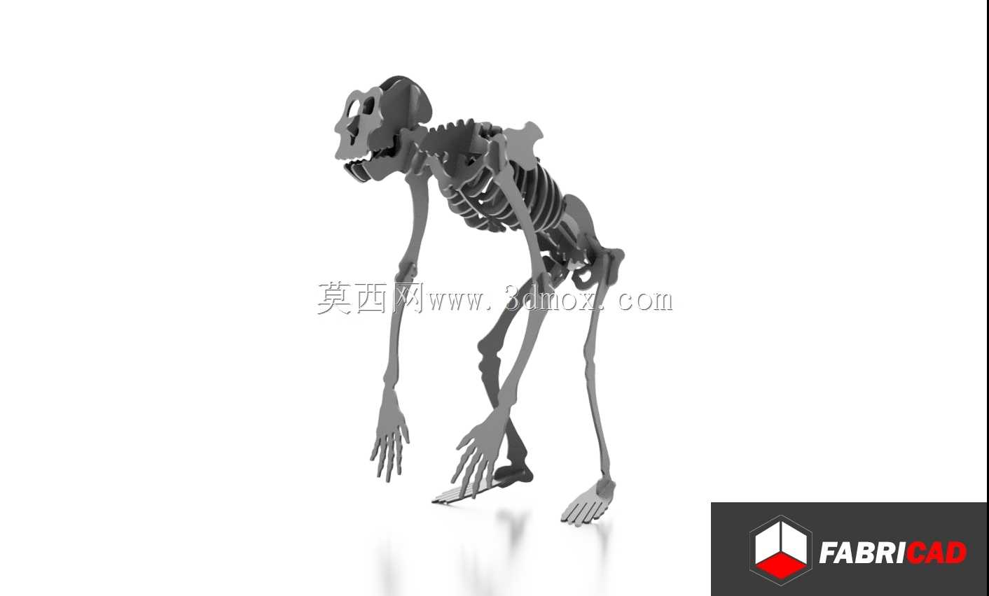 灵长类激光切割-(灵长类皮质激光)