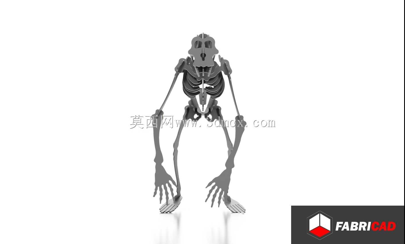 灵长类激光切割-(灵长类皮质激光)
