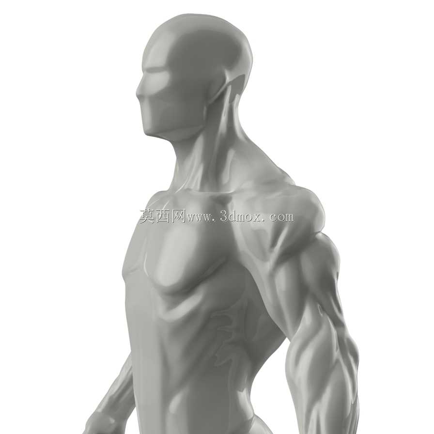 人体肌肉模型转换