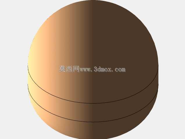 全髋关节置换术