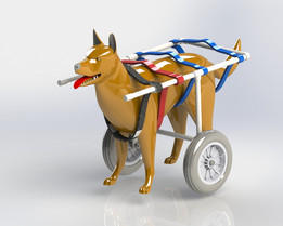 Silla de ruedas para perro���������Σ�