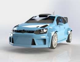 ����Polo R WRC 2010