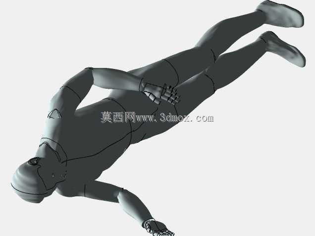 人体模型3D