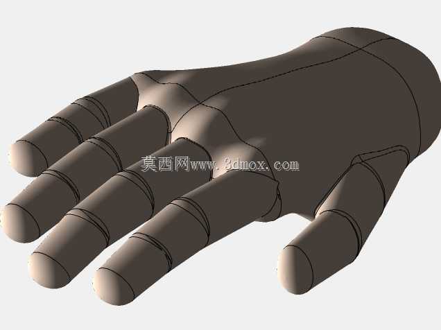 人体模型3D