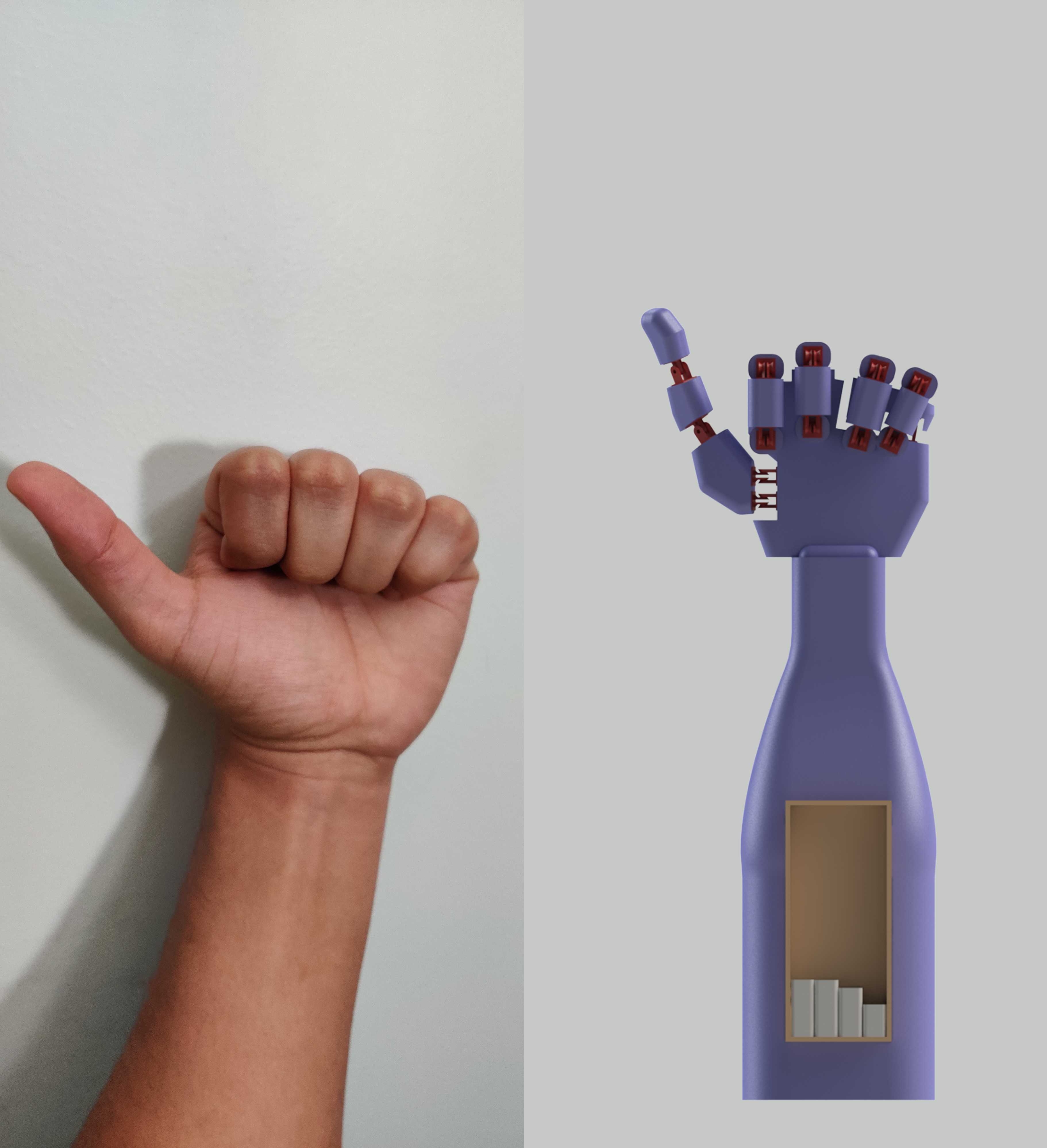 人体模型手:三维模型