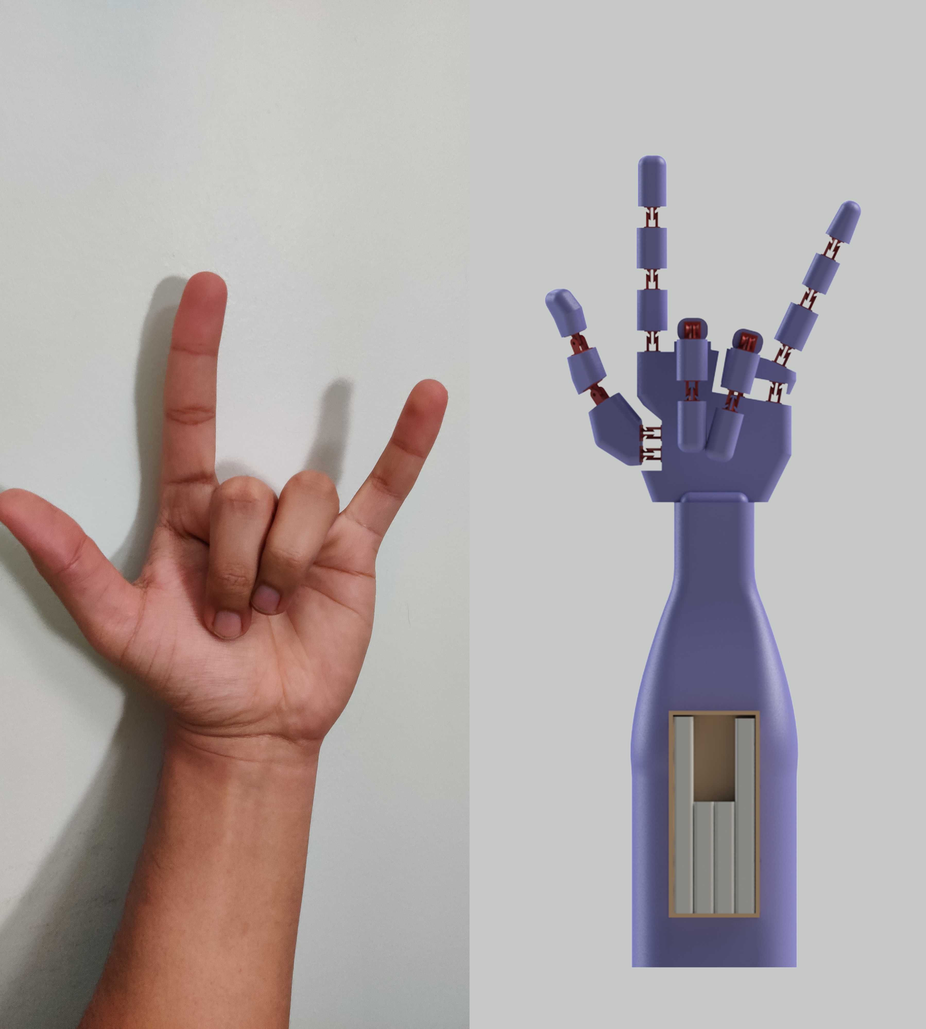 人体模型手:三维模型