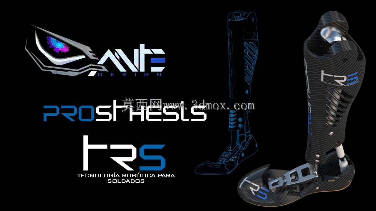 假体trs