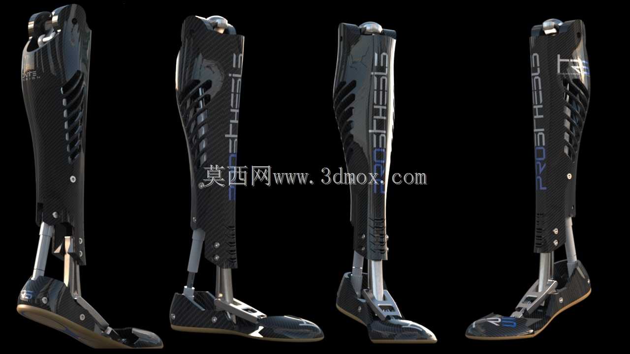 假体trs