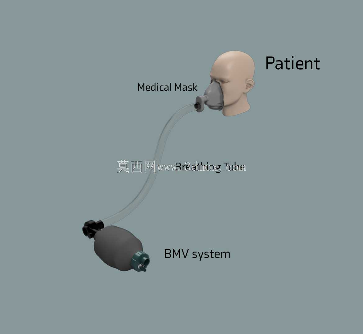 BVM(组件和全装配)