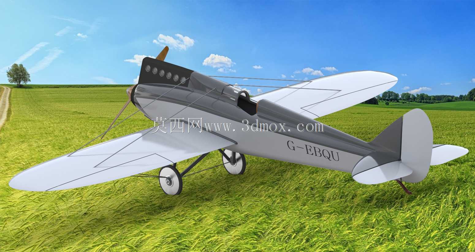 德哈维兰DH-71虎蛾赛车(1920年的飞机)|实体模型