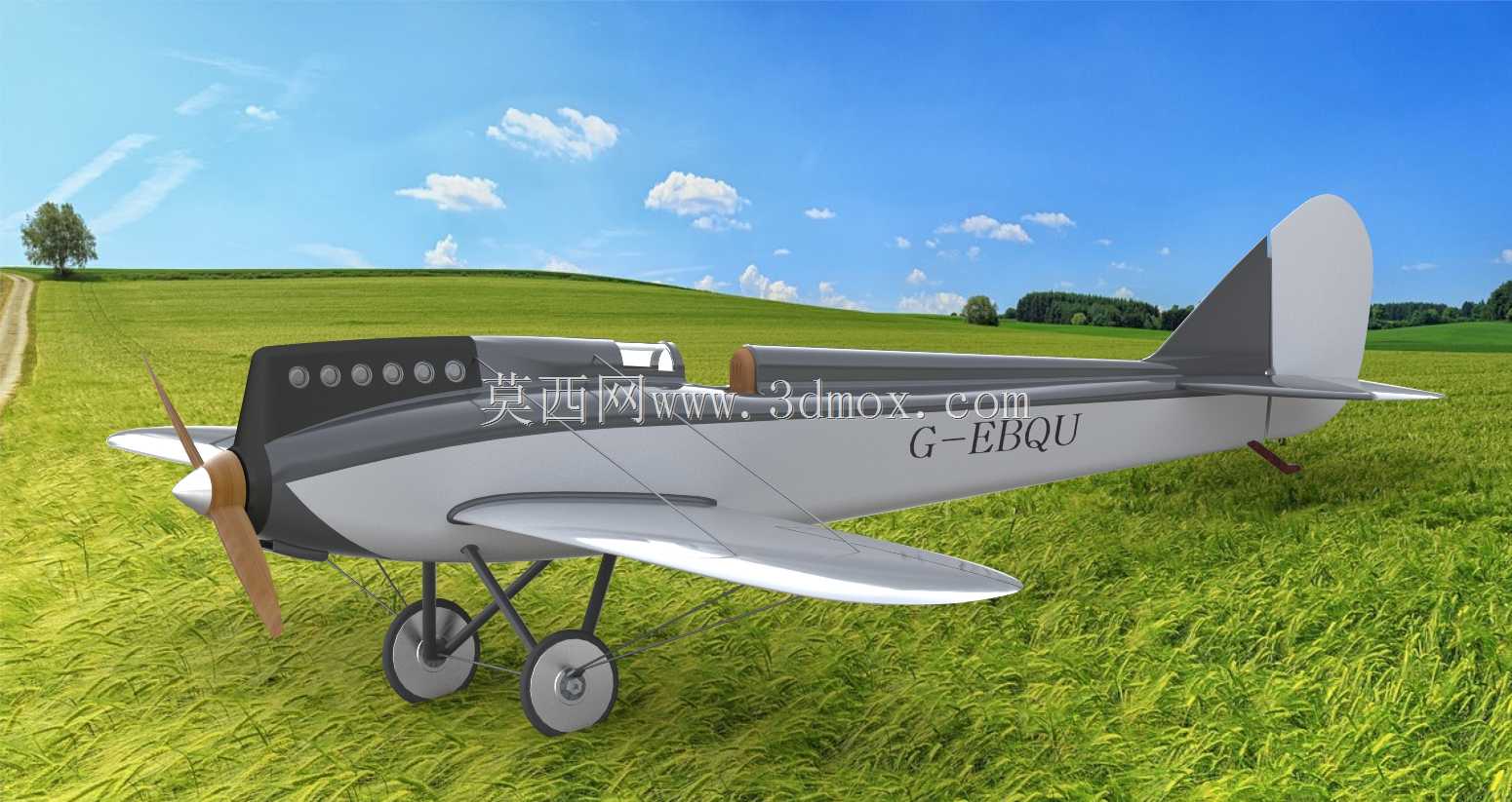 德哈维兰DH-71虎蛾赛车(1920年的飞机)|实体模型
