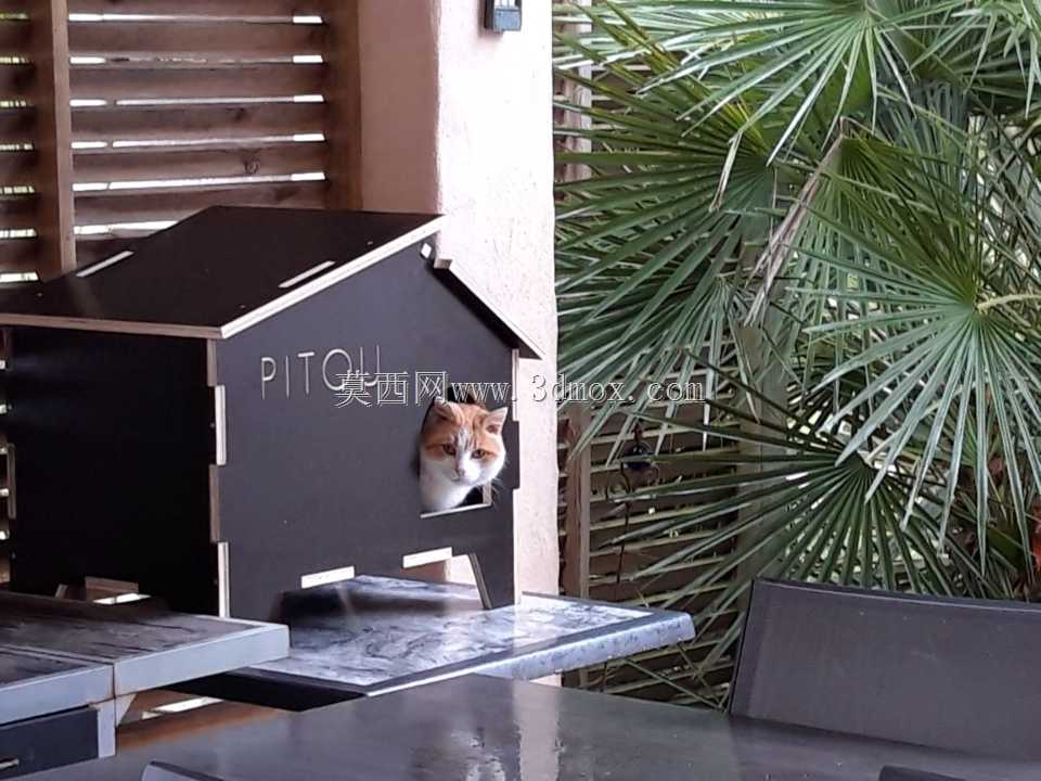 猫皮头的房子