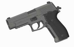 P226ǧ���ֽ�