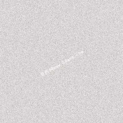 ��ʻ��