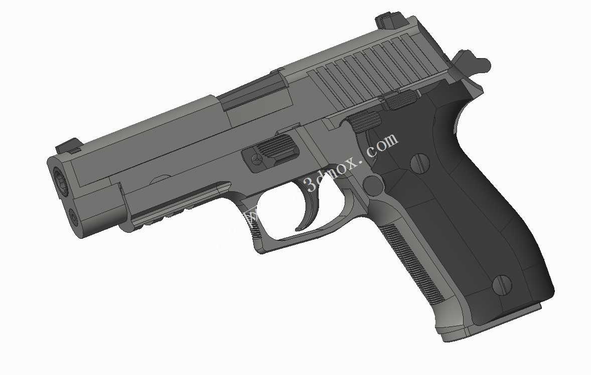 P226ǧ���ֽ�