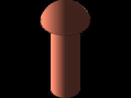 ����֧�����-Rivot