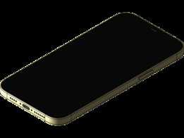 iPhone 12 Pro Max��