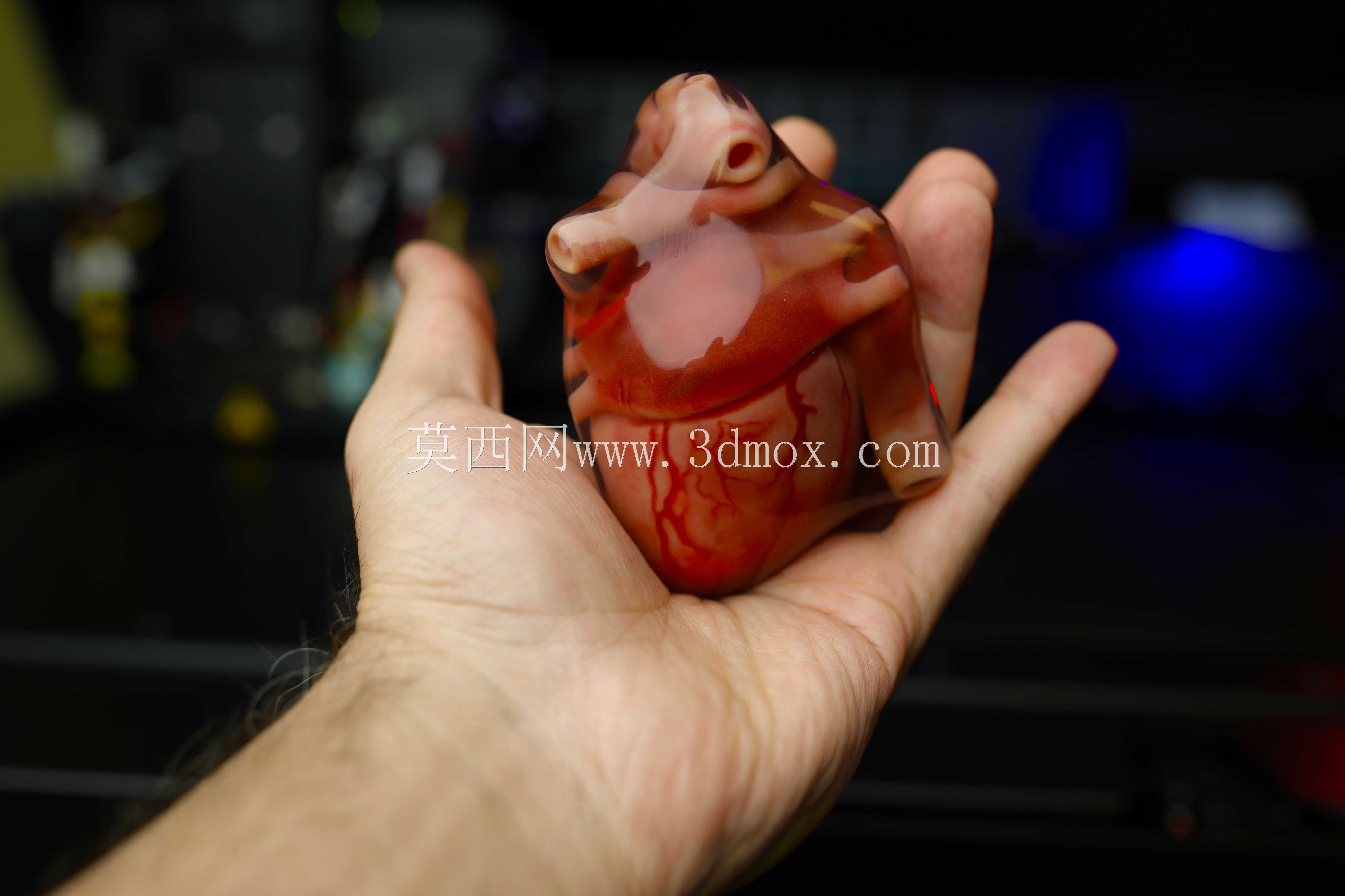 有史以来最好的全彩3D心形印刷品