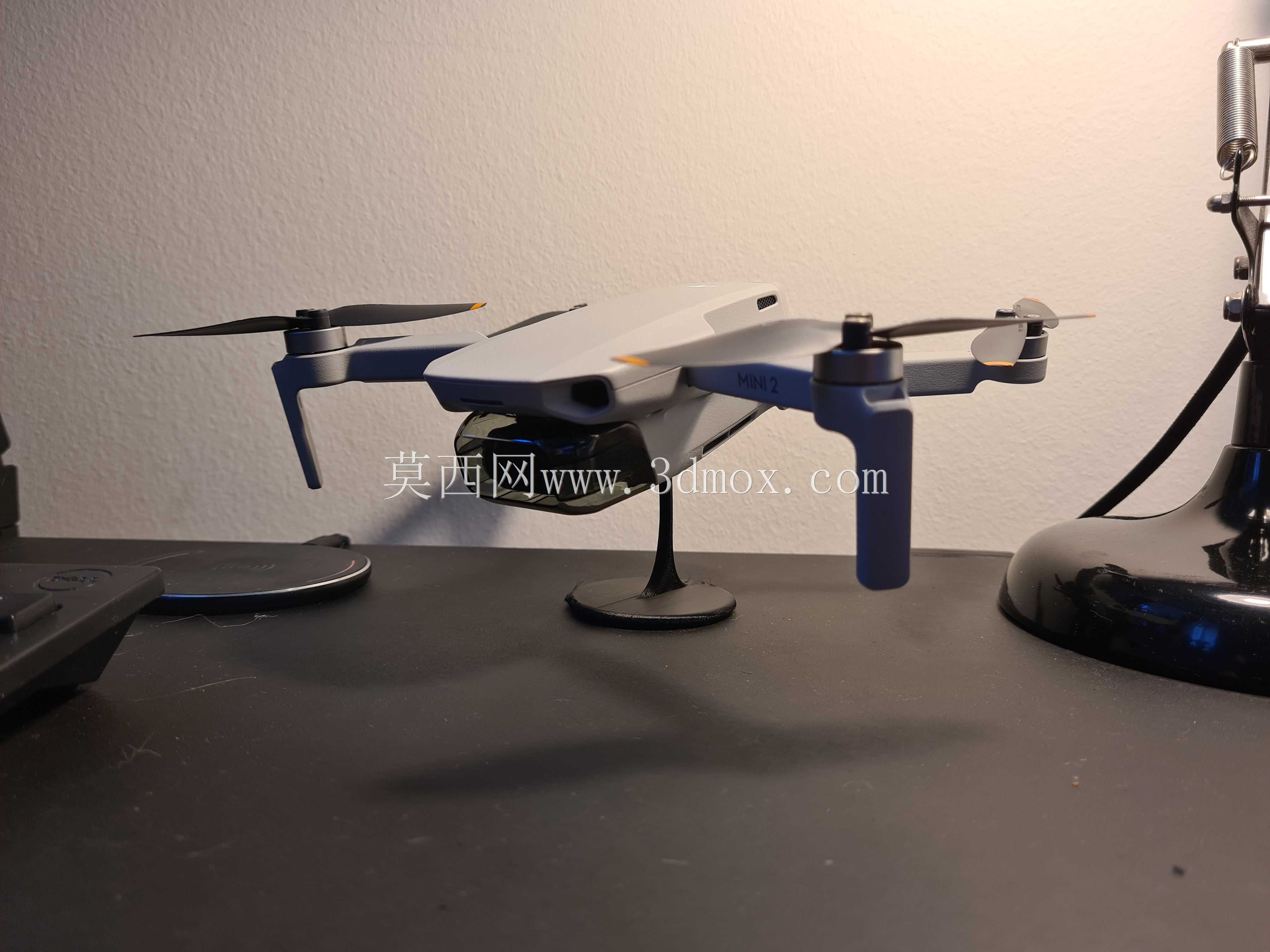 DJI Mini 2֧��