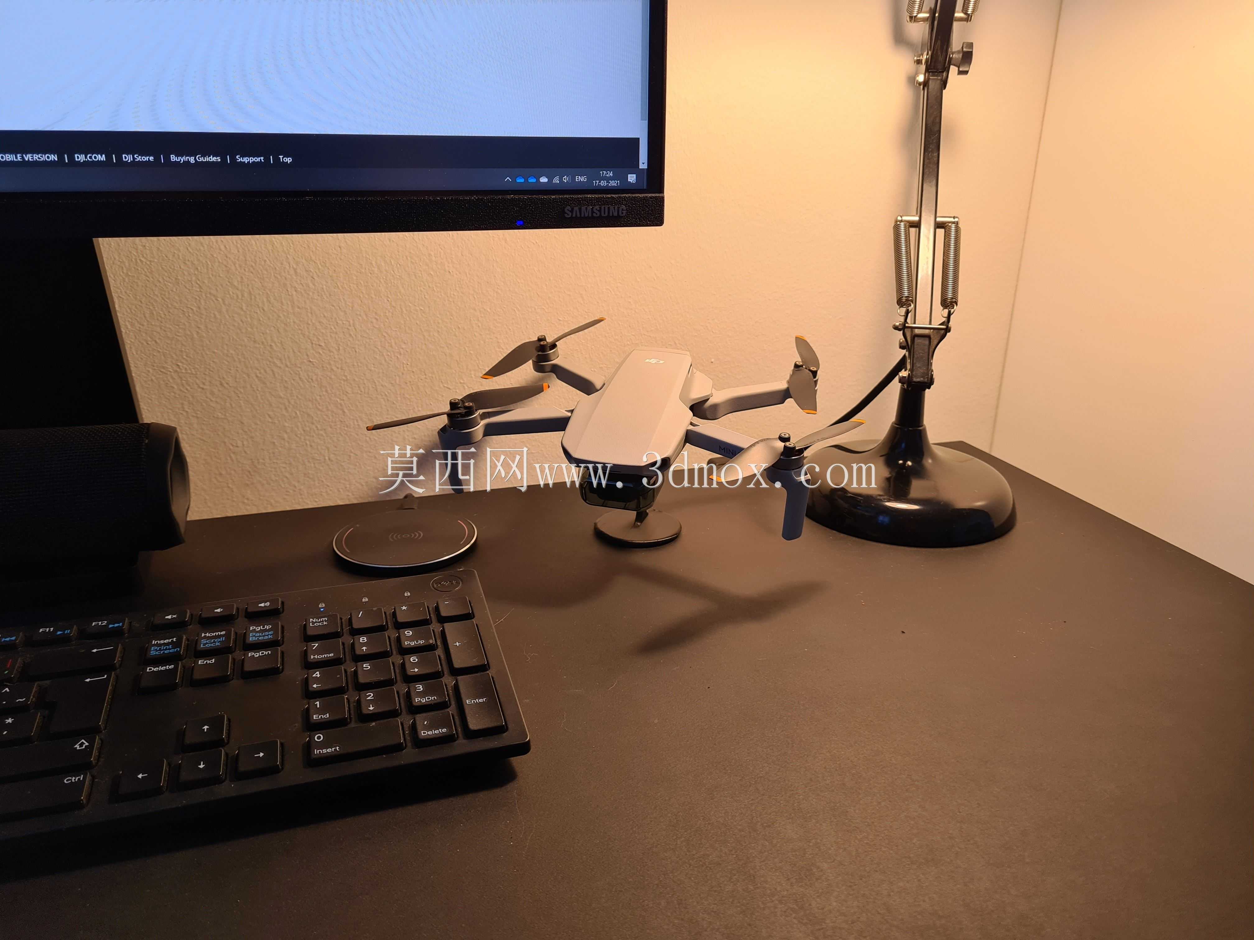 DJI Mini 2֧��