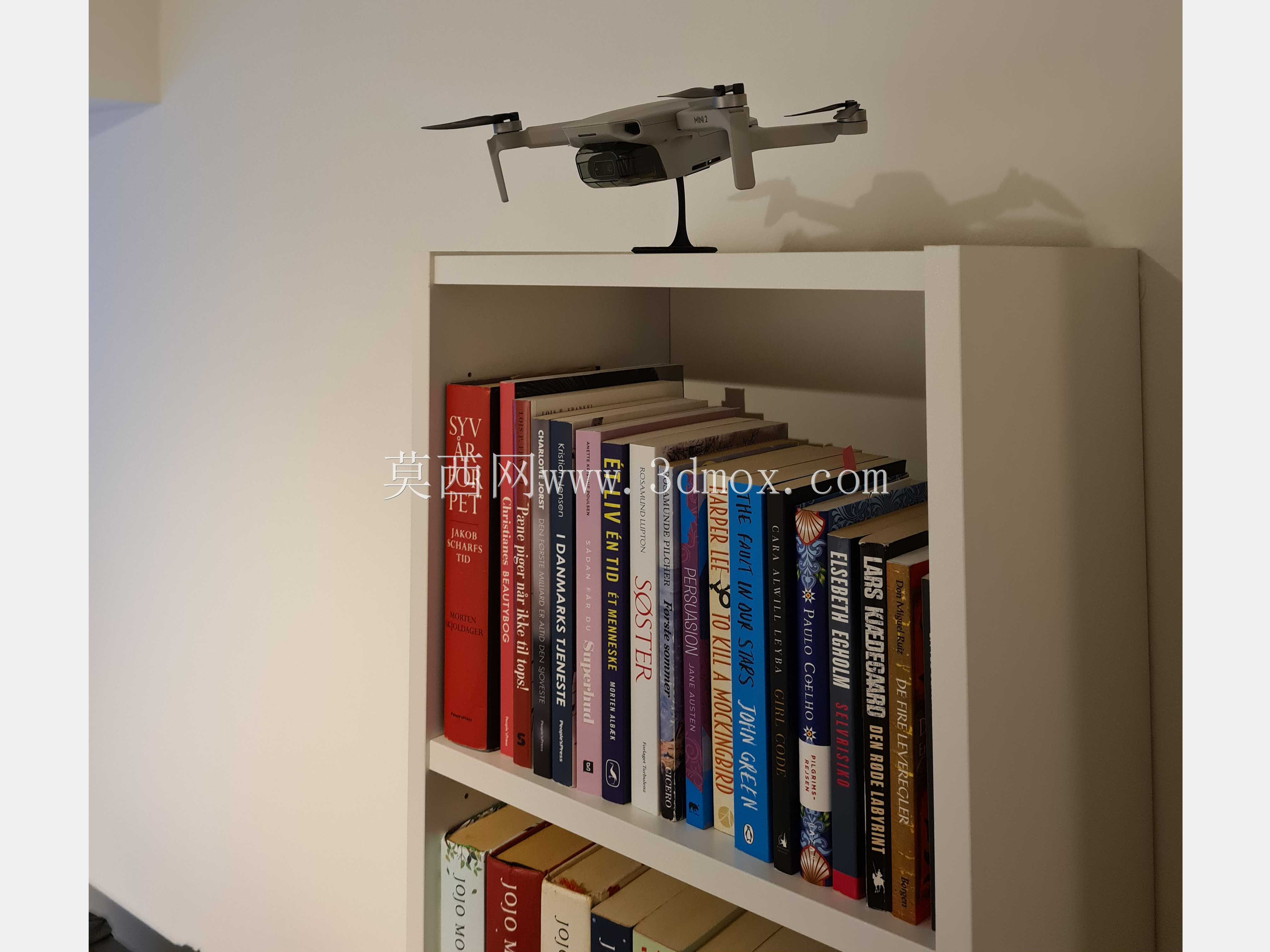 DJI Mini 2֧��