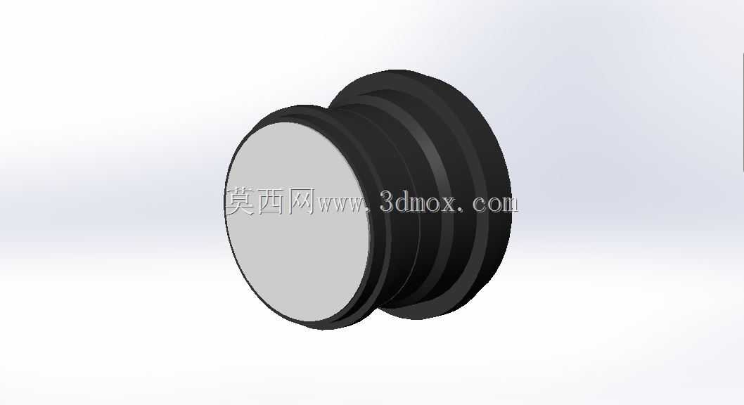 三阳12mm T3.1 NCS鱼眼EF支架