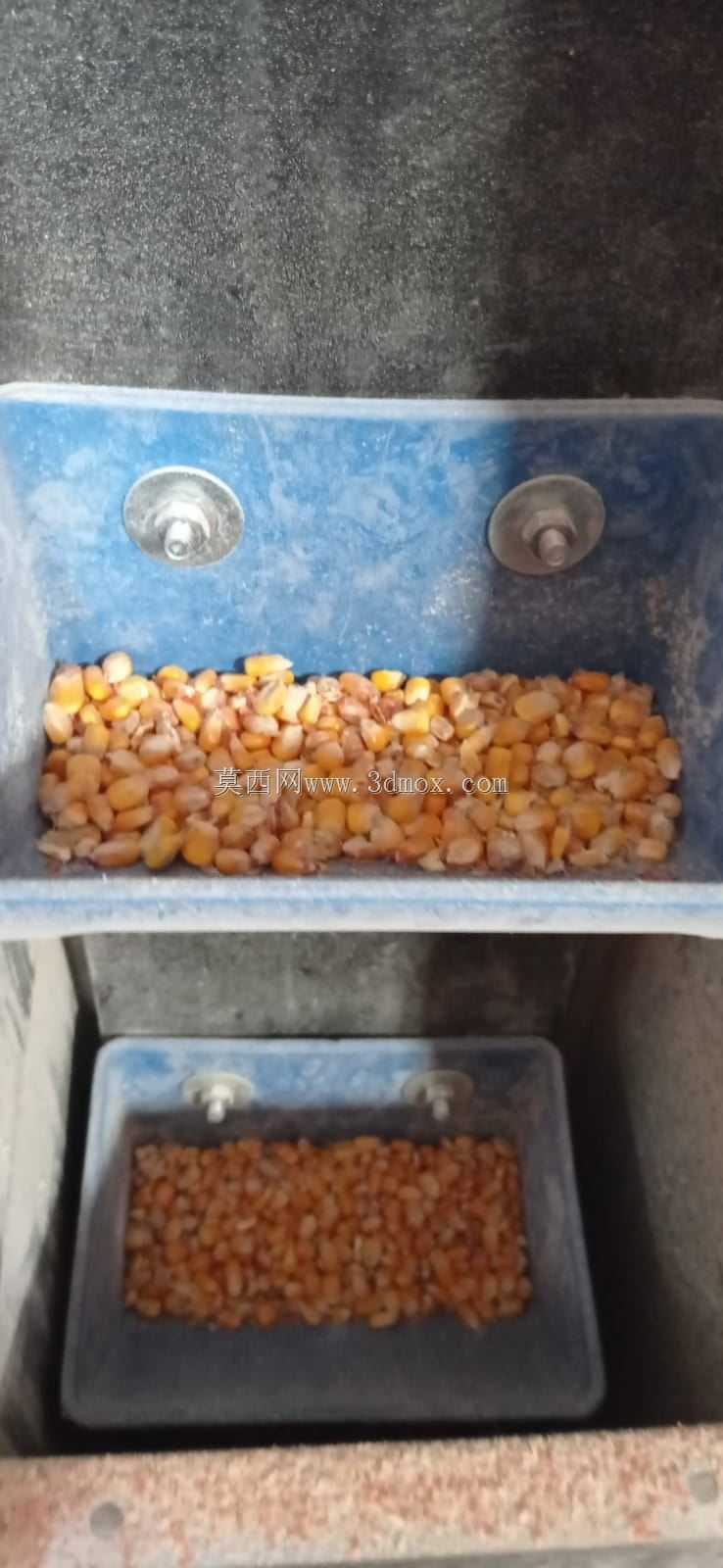 旋转木马是什么意思?