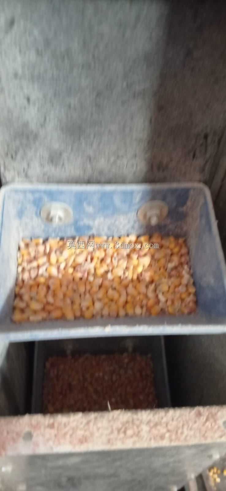 旋转木马是什么意思?