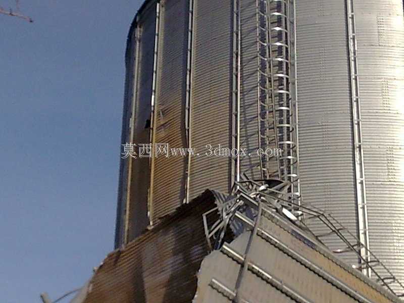 ʲô������������ʳ�ģ�