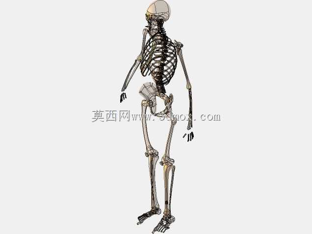 胫骨髓内钉